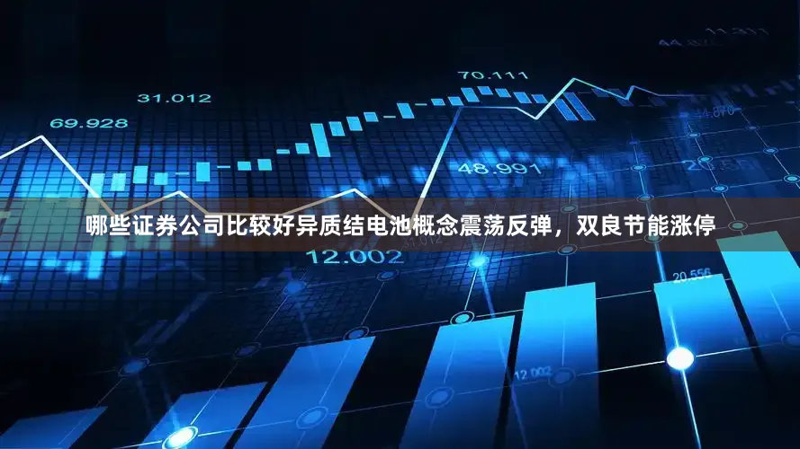 哪些证券公司比较好异质结电池概念震荡反弹，双良节能涨停