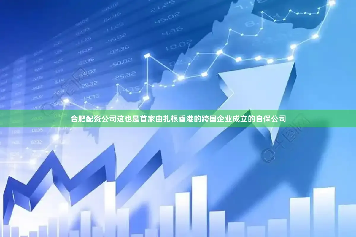 合肥配资公司这也是首家由扎根香港的跨国企业成立的自保公司