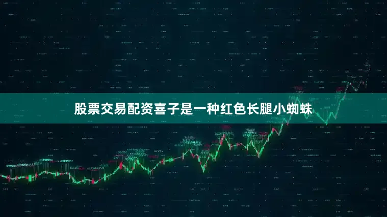 股票交易配资喜子是一种红色长腿小蜘蛛