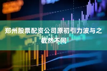 郑州股票配资公司原初引力波与之截然不同