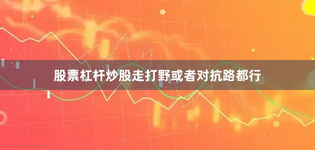 股票杠杆炒股走打野或者对抗路都行
