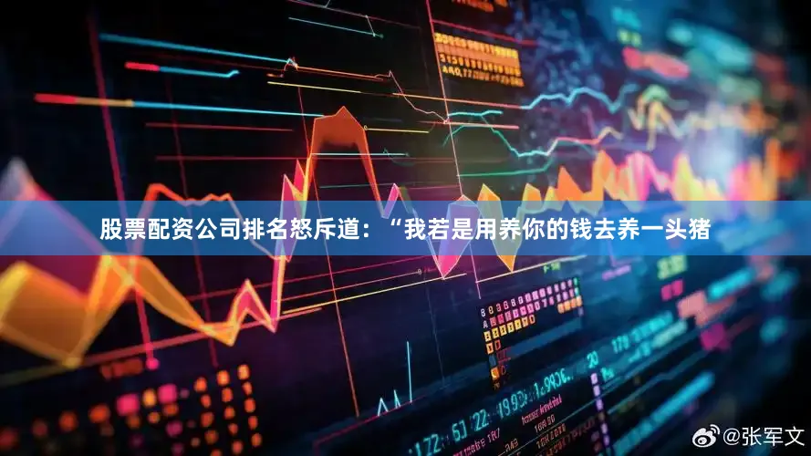 股票配资公司排名怒斥道：“我若是用养你的钱去养一头猪